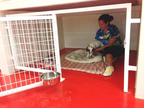 resize-1014666 269561473183707 1716198212 o