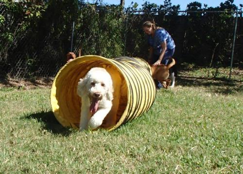 resize-1901901 361107880695732 771582043 n